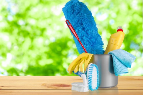 Checklist-based end of tenancy cleaning in CR0