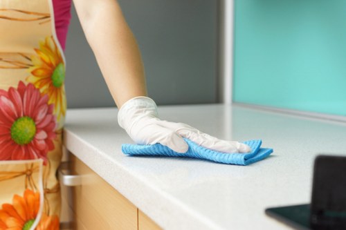 Professional domestic cleaning in Cr0 for a tidy family home