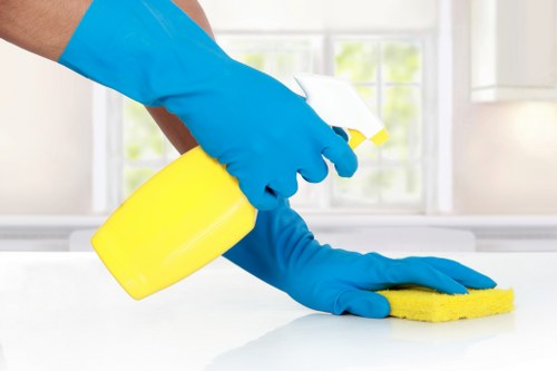 Professional deep cleaning in Cr0 for a spotless home interior