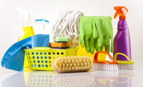 Professional carpet cleaning in a Cr0 home interior