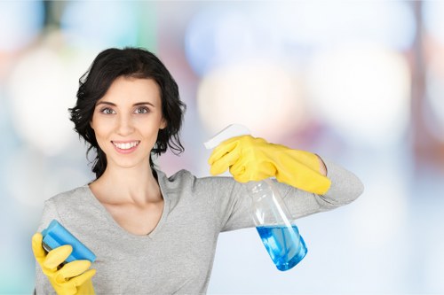 Regular home cleaning service in Cr0 for busy households