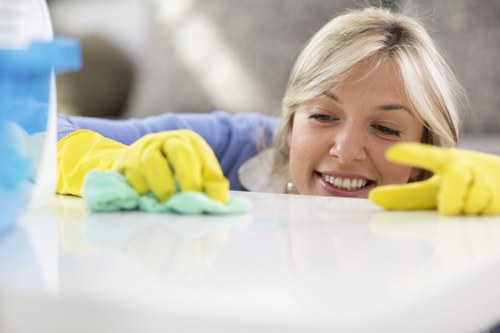Risk assessment and protective measures during carpet cleaning