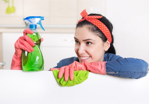 Deep carpet cleaning in Cr0 removing dirt and stains from fibres