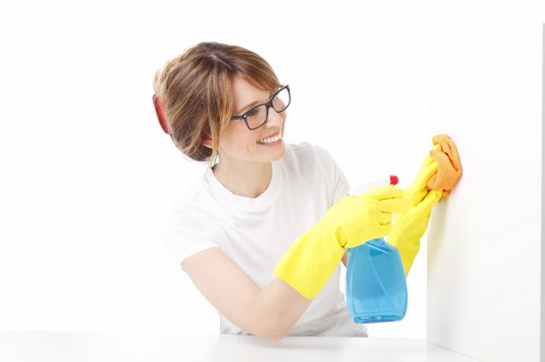 Local carpet cleaning service equipment used in a CR0 home