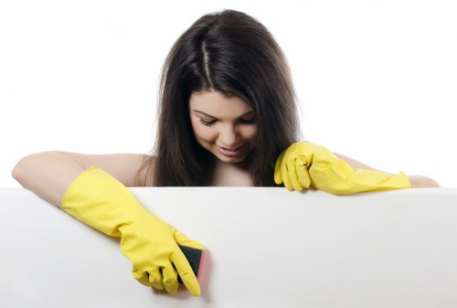Domestic cleaning tasks handled by a cleaner in Cr0